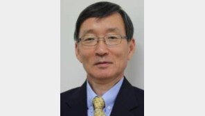 [동아시론/안세영]한고비 넘긴 한미 관세협상, 다음 과제는 일본과의 경쟁