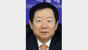 성낙인 前총장, 세계변협 총회 발표 “韓, 계엄후 민주 절차따라 혼란 극복”