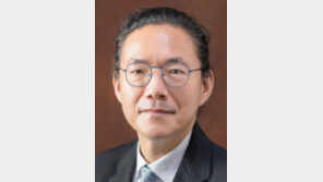 빛축제를 바라보는 새로운 시각[기고/최인규]