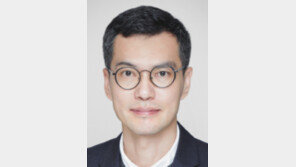 세운지구 개발과 녹지축은 강북 도심 활성화의 시작[기고/김지엽]