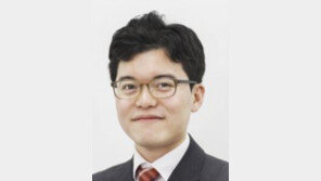 [애널리스트의 마켓뷰]국내시장 복귀계좌, 12조 환류 효과 낼까