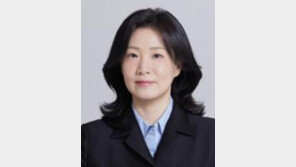 [오늘과 내일/신수정]선거 앞에 멈춰 선 공급 대책