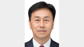 [동아시론/배진석]지방은 없고 중앙정치만 남은 지방선거