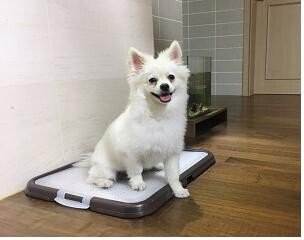 환경부 ‘혁신형 에코디자인 공모전’ 개최…일반 개인도 응모 가능 - 뉴스 썸네일 이미지