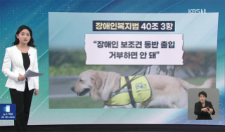 2023년 4월 안내견이 시각장애인과 함께 음식점에 가려다 제지당했다는 KBS뉴스. 불과 3년 전 일이다. 유튜브 채널 KBS News 캡처