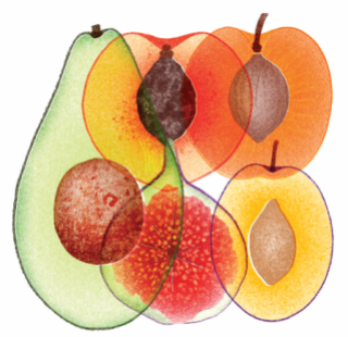 여름 감성을 담아 Z세대 사이에서 화제가 된 작품. 인스타그램 @sarahmaffeis 계정 캡처 