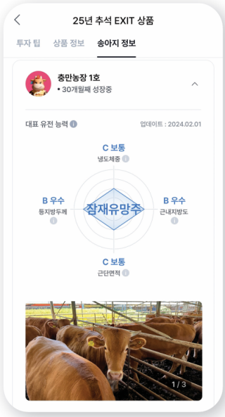 한우 조각투자 애플리케이션(앱)에서 투자자들이 살펴볼 수 있는 한우 사육 정보. 뱅카우 애플리케이션 캡처