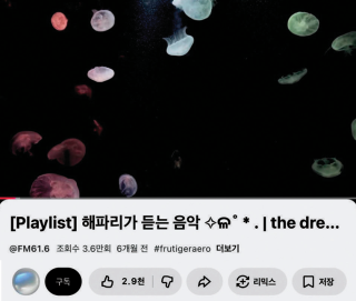 아이돌그룹 투어스(TWS) 멤버 지훈이 자주 듣는다고 언급해 화제가 된 플레이리스트. 유튜브 채널 ‘FM61.6’ 캡처
