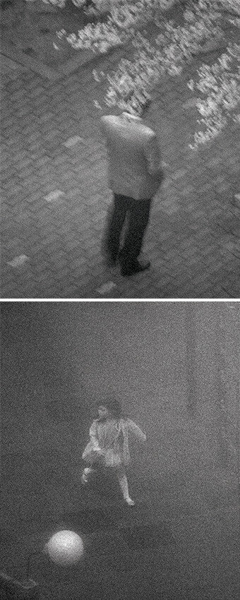 Youngdon Jung, Ants, Ants-17, 2016, Pigment print on matt paper. Ants, Ants-5, 2013, Pigment print on matt paper.