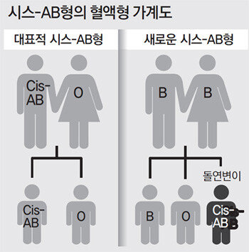 B血型的父母生出ab血型的女儿 世界上首次发现 突变ab型 血型 东亚日报