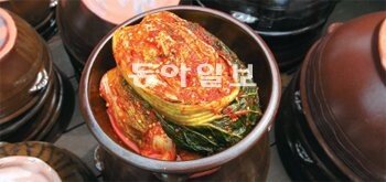 [O2/Life]톡 쏘는 김치의 상큼한 맛, 오랫동안 즐기려면｜동아일보