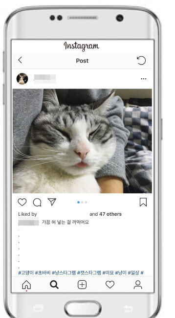 [초바비 계정]