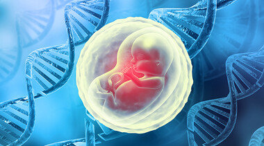 포기하지 않은 생명, 결국 역사가 된다