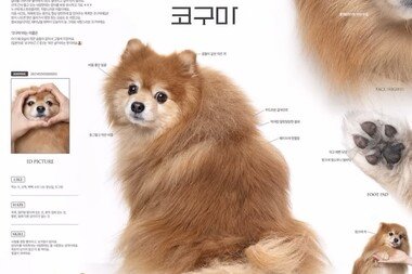 크리에이터 Z세대만의 특별한 감각