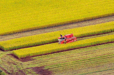 쌀 곡창지대 야당 호남 의원들이 양곡법 개정 밀어붙이는 까닭은?