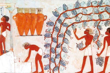 파피루스에 와인 제조법 남긴 고대 이집트