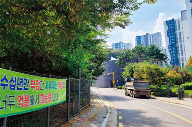 11월 해제 후보지 발표 앞두고 강남권 그린벨트 매수 문의 늘어