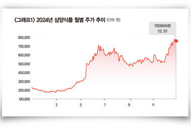 2024년 잘나간 삼양식품, 목표주가 100만 원