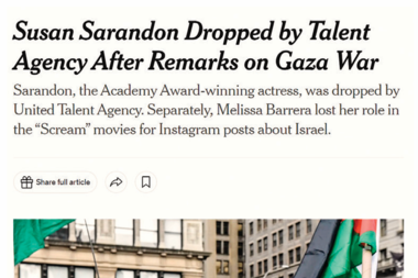 연예인들이 사회적 발언을 못 하는 이유