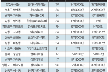 10·15 대책 이후 실거주 의무 없는 경매로 수요 몰린다