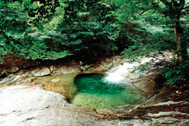 한국의 미래 밝힐 명당터 산재한 대전·충청권