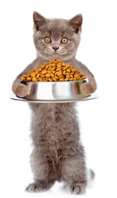 [shutterstock]