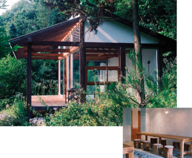 여름을 닮은 Green Place 