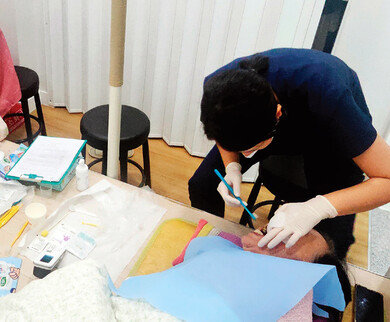 3월부터 전국 시행되는 통합돌봄서비스