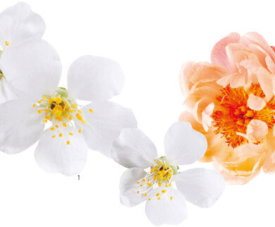 New Blooming Scents