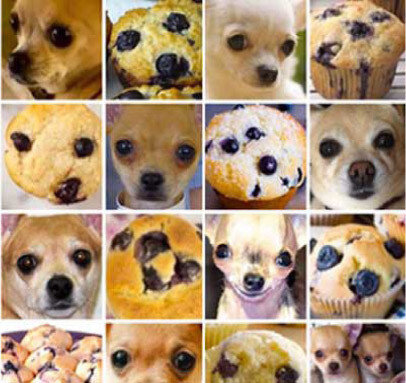 치와와와 머핀이 교묘하게 뒤섞인 사진. [트위터(@teenybiscuit) 캡처]