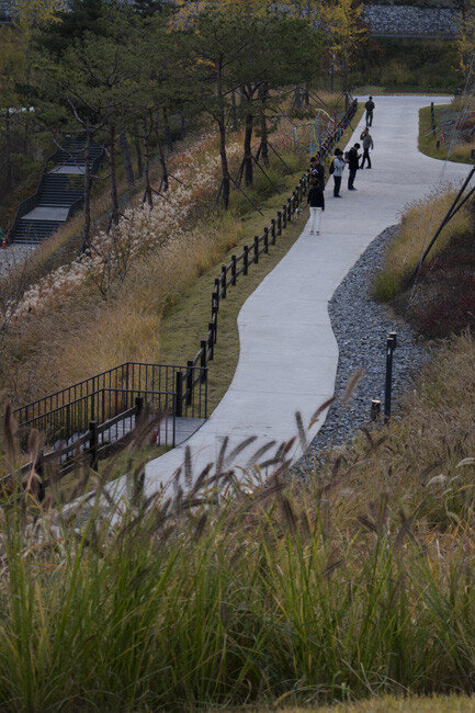 커뮤니티센터 앞 산책길.