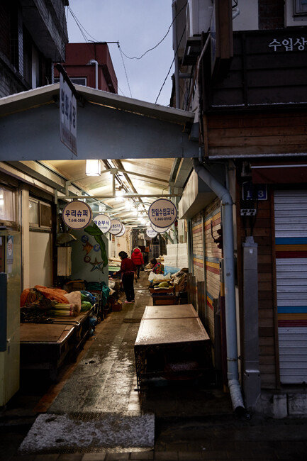 군산 월명동 영화시장 골목. 군산시는 올해 청년 창업가들과 함께 쇠락한 영화시장 살리기에 나선다. [홍중식 기자]