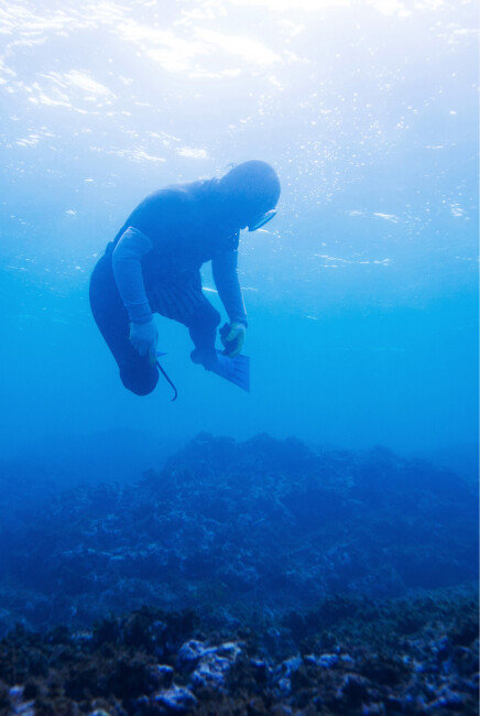 서귀포시 온평리(Seogwipo-si Onpyeong-ri), 2013_11