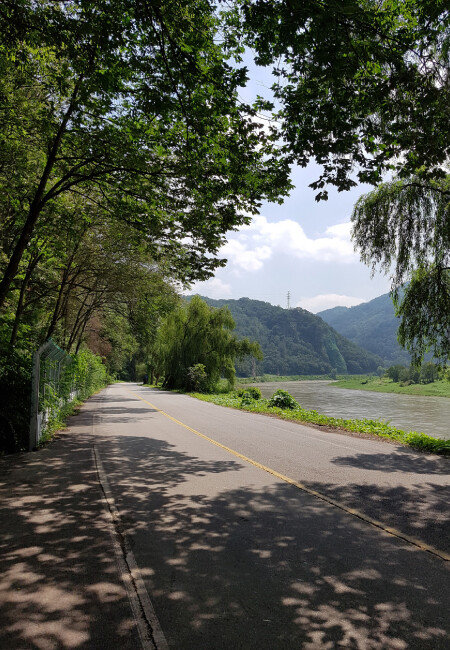 충주 탄금대 자전거길.