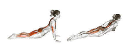 개개인의 척추와 관절 상태에 적합한 필라테스 동작을 잘 선별해야 한다. 예를 들어 ‘좋은 동작’인 ‘엎드려 상체 젖히기’도 허리 디스크 손상이 있는 사람에게는 무리가 될 수 있다. [도서출판 아티잔 제공]