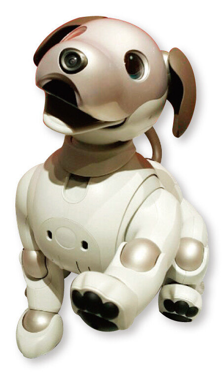 소니가 개발한 인공지능(AI) 강아지 로봇 아이보. [김범석 기자]