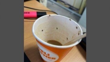 자판기 커피 마신 뒤 ‘쇼크’ 온 20대女…컵엔 벌레 ‘우글우글’