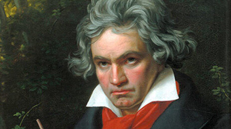 “베토벤 납 중독 맞았다”…머리카락 DNA분석서 밝혀져
