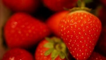 당뇨병 환자 600만명…‘녹차·딸기·사과’ 매일 먹어야 할 이유