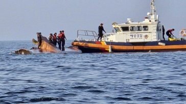 신안 가거도 해상 ‘바다 뺑소니’ 홍콩 선박 선원 2명 긴급체포