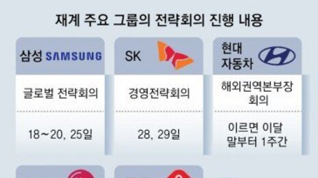 삼성-SK 등 하반기 글로벌 전략회의… 화두는 ‘미래’ ‘리밸런싱’