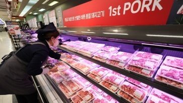 中, EU산 돼지고기 반덤핑 조사…전기차 관세 인상에 보복
