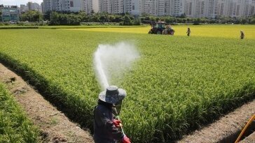 정부, 쌀 재고량 5만t 매입…농업직불금 5조원으로 확대