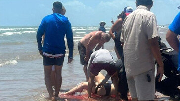 순식간에 ‘피바다’된 해변…상어 습격에 4명 부상