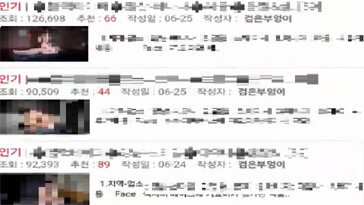 돈받고 성매매 후기 올린 ‘검은 부엉이’ 검거… 영상 1929개 압수