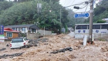 추석 연휴 앞두고 울릉에 이틀간 308.7㎜ ‘물폭탄’…46년만의 폭우에 큰 피해