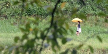 강원 영동 주말 최대 100mm 비…서쪽은 30도 안팎 늦더위 지속