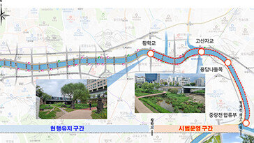 “반려견과 청계천 걸어요”…연말까지 일부 구간 허용