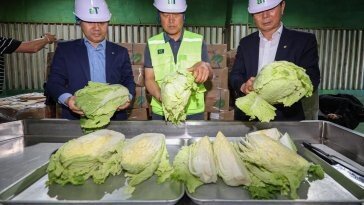 ‘중국산’ 신선배추 5000포기 입고된 이천비축기지 [청계천 옆 사진관]