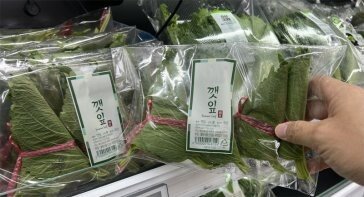 한장 100원 金깻잎 “쌈도 못먹을판”